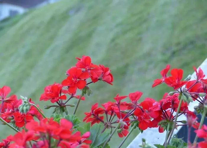 Jagdhof Pure Mountain Apartmán *